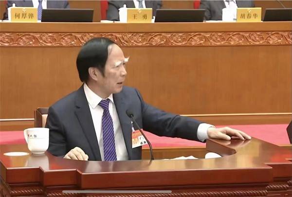國際儒聯副會長王學典教授應邀在全國政協常委會閉幕會后做學術講座